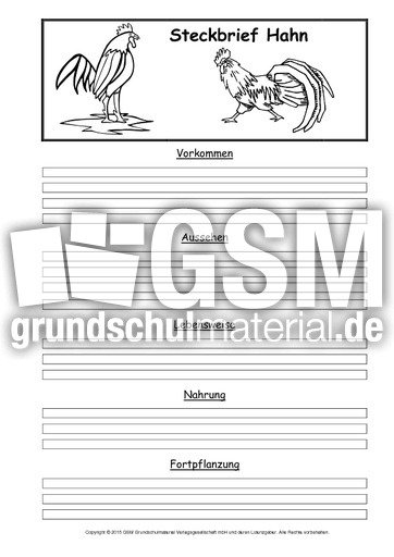 Steckbriefvorlage-Hahn.pdf